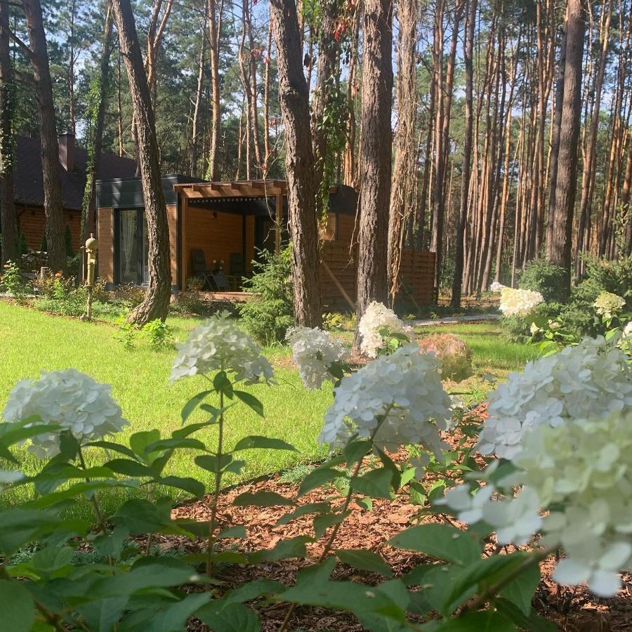 Uroczy Maly Domek Na Lesnej Dzialce - Losiowka Losie المظهر الخارجي الصورة